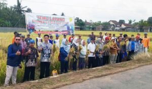 Petani CSA Banjarnegara Gunakan Bakteri Pengendali Penyakit