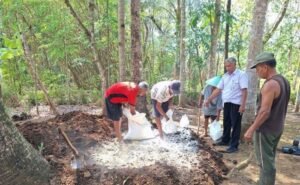 Alumnus CSA, Petani Purworejo Replikasi Pembuatan Pupuk Organik