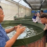 smart green house epis korea