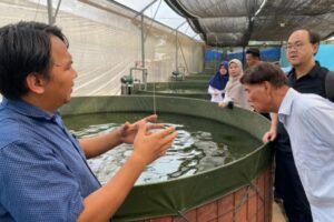 Kementan Gandeng EPIS Korea Kembangkan Smart Green House