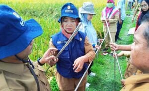 Demplot CSA di Deli Serdang Dongkrak Produktivitas Pertanian