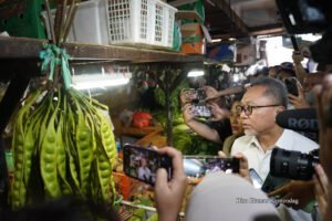 Mendag Zulhas Terkejut Harga Cabai di Jakarta Rp120.000/Kg
