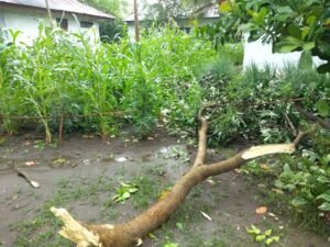 Cuaca Buruk Berpotensi Landa Sebagian jakarta
