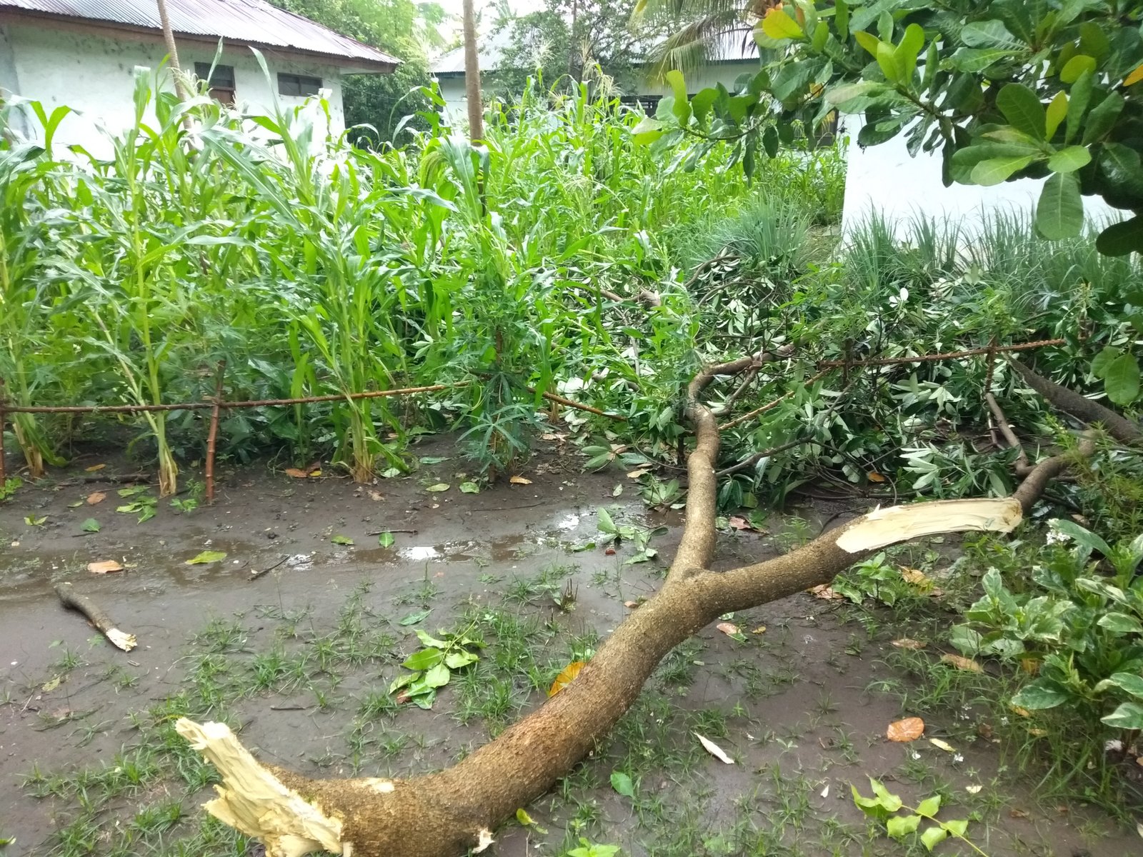 cuaca buruk landa jakarta