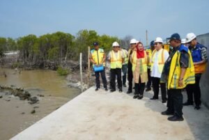 Pembangunan Sheet Pile Tambaklorok Ditargetkan Selesai Mei 2024