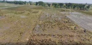 3.427 Hektar Tanaman Padi di Demak Terendam Banjir, 1.970 Puso.