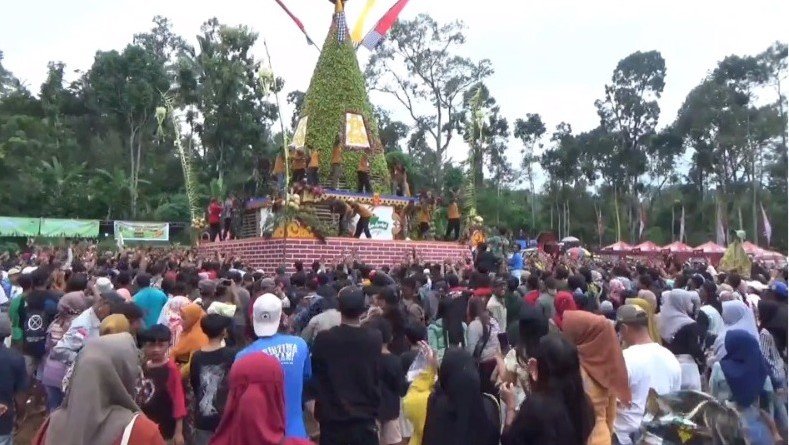 Tradisi Berebut Gunungan Alpukat, Sejumlah Orang Luka Luka