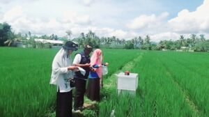 Keberlanjutan Pertanian CSA Dikembangkan Kementan di Action Plan 2024