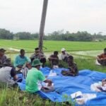 Mengukur Pencapaian Target, Kementan gelar Survei Endline Petani Lokasi CSA