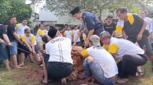 Anies Sembelih Hewan Kurbannya Sendiri, Ambil Hikmah dari Nabi Ibrahim AS