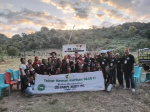 Dompet Dhuafa Salurkan 101 Sapi Kurban ke Manggarai NTT, Komitmen Meningkat Tiap Tahun