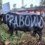 Gerindra Salurkan Ratusan Hewan Kurban, Rasa Syukur Pemilu 2024 Berjalan Lancar