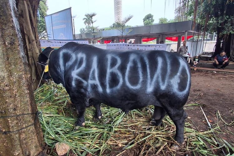 Gerindra Salurkan Ratusan Hewan Kurban, Rasa Syukur Pemilu 2024 Berjalan Lancar