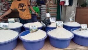 BPS Catat Harga Beras Naik di Semua Tingkat, Ritel Tembus di Atas HET