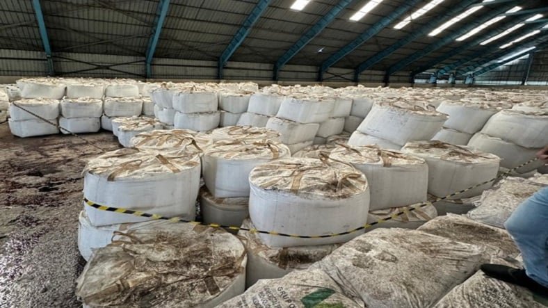 Thomas Lembong Tersandung Kasus Impor Gula: Catatan dan Fakta Penting
