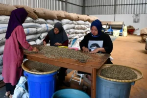 Perluasan Akses Permodalan Koperasi Produsen jadi Perhatian KemenkopUKM