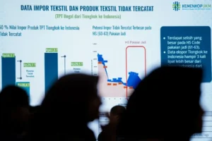 Serbuan Impor Ilegal China Bikin UMKM Indonesia Terpuruk, Ini Saran KemenkopUKM