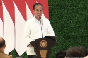 Jokowi Sebut Pembangunan IKN Baru 20 Persen