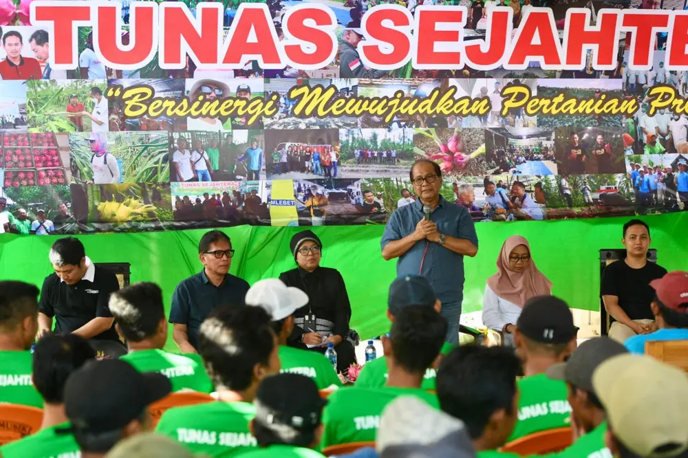 Petani Buah Naga Banyuwangi Didukung Kemenkop Hilirisasi Produk Pertanian