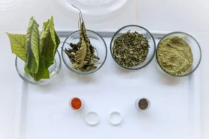 MenkopUKM Dorong Hilirisasi Kratom di Kalimantan: Peluang Besar untuk Ekonomi Lokal Melalui Koperasi