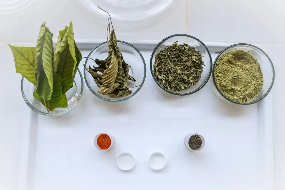 MenkopUKM Dorong Hilirisasi Kratom di Kalimantan: Peluang Besar untuk Ekonomi Lokal Melalui Koperasi