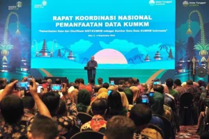 Data Tunggal KUMKM Resep Manjur agar Kebijakan Koperasi dan UMKM Akuntabel
