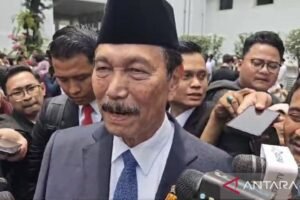 Luhut jadi Ketua Dewan Ekonomi Nasional Ini Peran yang Dimainkannya