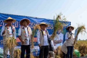 Pupuk Indonesia Optimalkan Panen Padi dengan Teknologi Presisi Budidaya di Subang