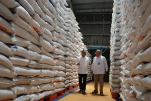 Menko Pangan Zulkifli Pastikan Stok Beras Aman di masa Paceklik Januari-Februari 2025