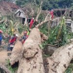 BPBD Lakukan Penanganan Prioritas pada Lokasi Terdampak Angin Kencang di Bantul