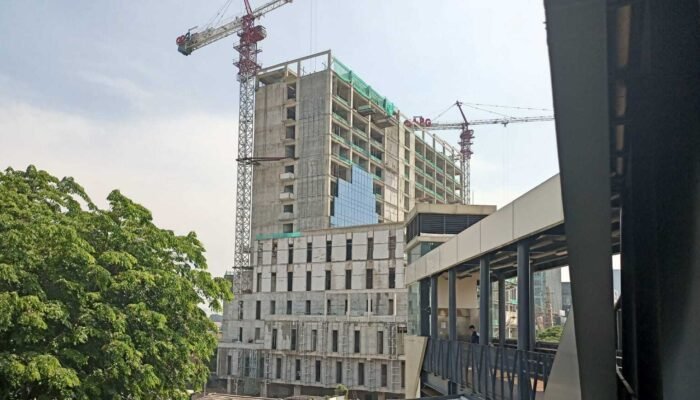 Perhitungan Astrologi China: 2025 Tahun Ular Kayu, Dunia Bergolak tapi Kondisi Indonesia Stabil