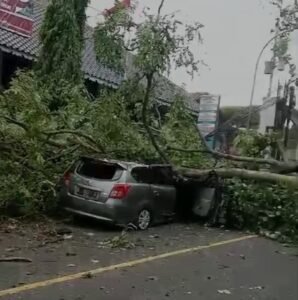 Hujan Deras Disertai Angin Kencang Terjadi di Jakarta, Sejumlah Pohon Tumbang