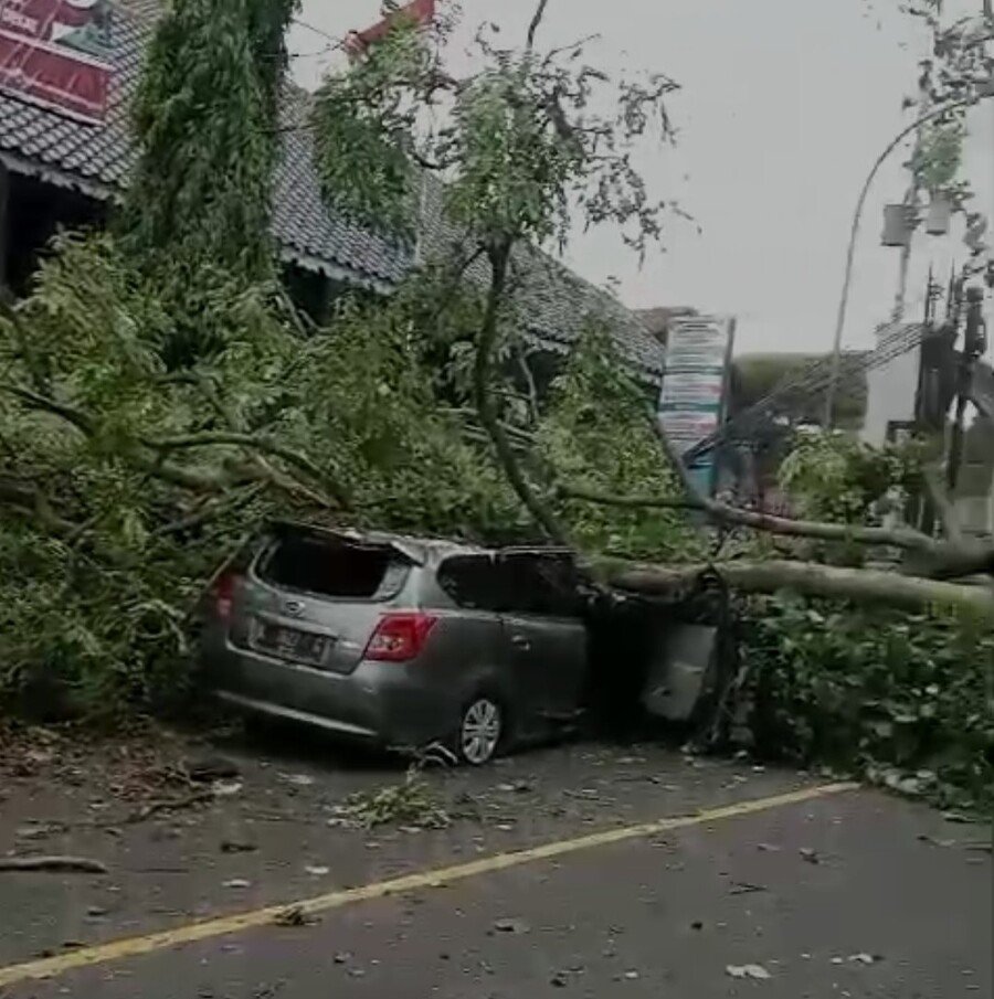 Hujan Deras Disertai Angin Kencang Terjadi di Jakarta, Sejumlah Pohon Tumbang
