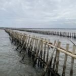 Komisi IV DPR RI Usut Sertifikat dan Legalitas Pagar Laut Misterius di Bekasi dan Tangerang