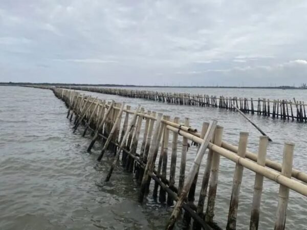 Komisi IV DPR RI Usut Sertifikat dan Legalitas Pagar Laut Misterius di Bekasi dan Tangerang