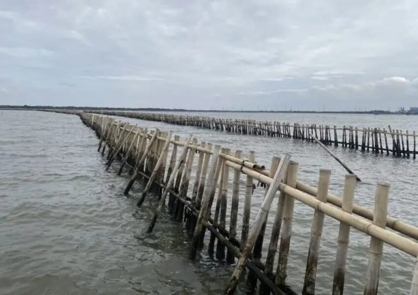 Komisi IV DPR RI Usut Sertifikat dan Legalitas Pagar Laut Misterius di Bekasi dan Tangerang