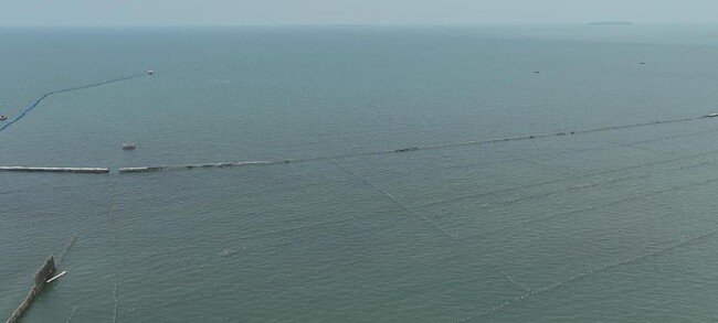 Menteri KKP Minta Pagar Bambu Laut di Tangerang Tak Dibongkar Sebelum Penyidikan Beres