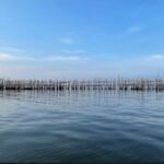 Misteri Pagar Laut di Pulau C Kapuk: Mustahil Kalau Pemprov DKI Jakarta Tidak Tahu