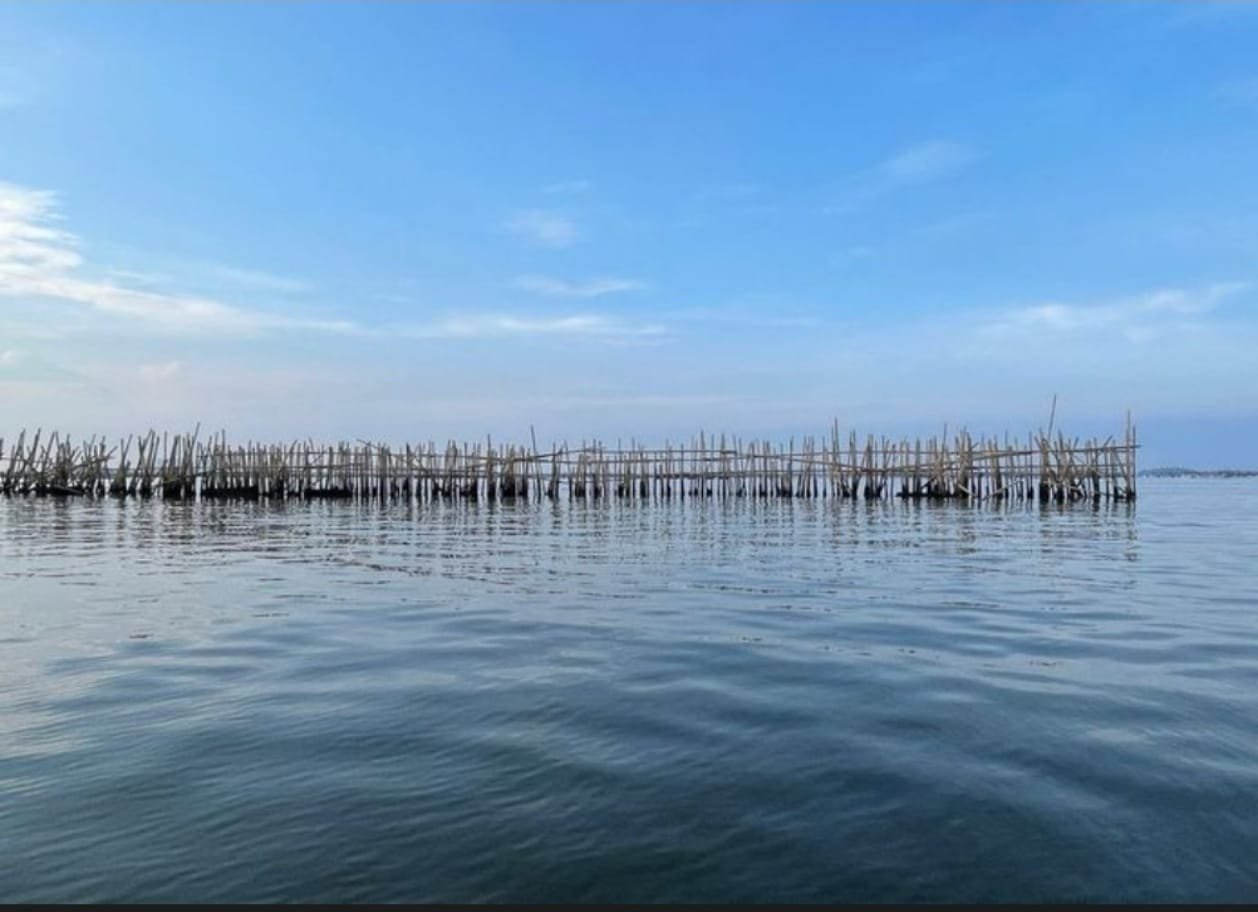Misteri Pagar Laut di Pulau C Kapuk: Mustahil Kalau Pemprov DKI Jakarta Tidak Tahu