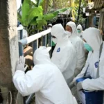 Rencana Impor Sapi dari Negara Terpapar PMK, Guru Besar IPB ungkap Risiko Bagi Indonesia