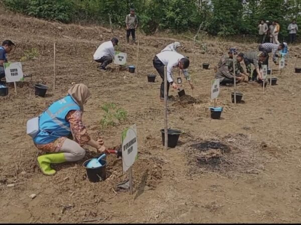 PLN EPI dan BSIP Kolaborasi Tanam Pohon Energi di Brebes, Dukung Net Zero Emission 2060