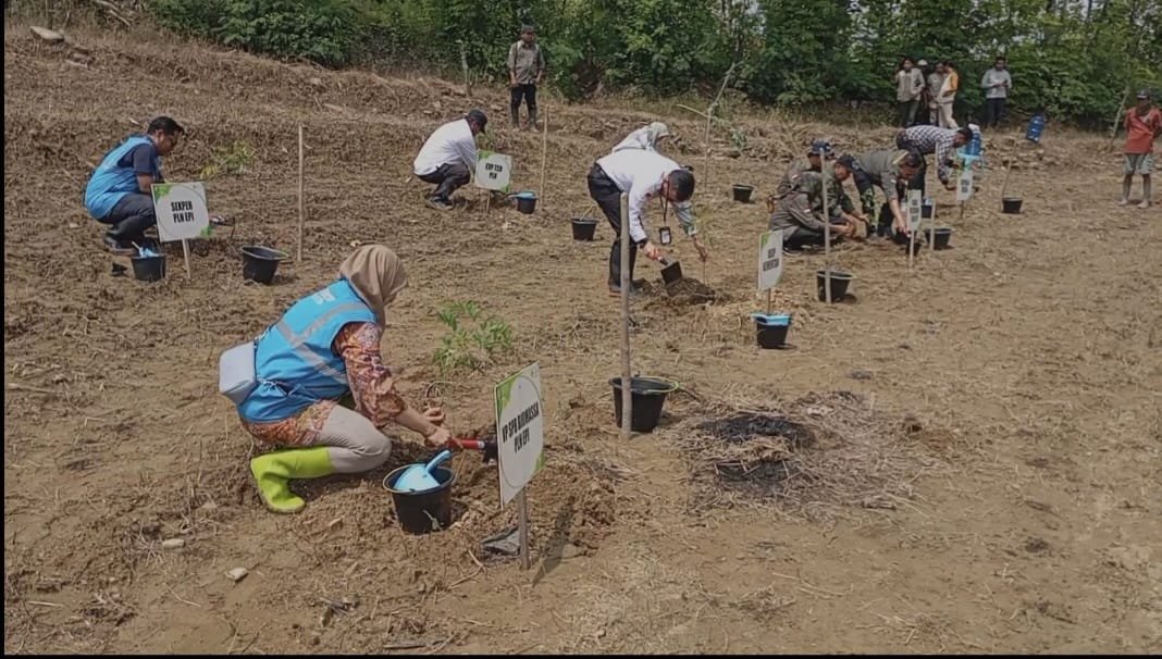 PLN EPI dan BSIP Kolaborasi Tanam Pohon Energi di Brebes, Dukung Net Zero Emission 2060