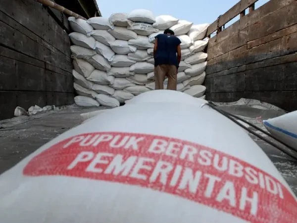Pemerintah Permudah Penebusan Pupuk Bersubsidi bagi Petani Terdaftar