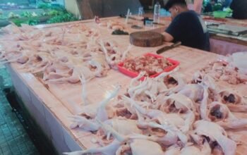 Bangka Belitung Tambah 25 Ton Daging Ayam untuk Redam Lonjakan Harga Akhir Pekan