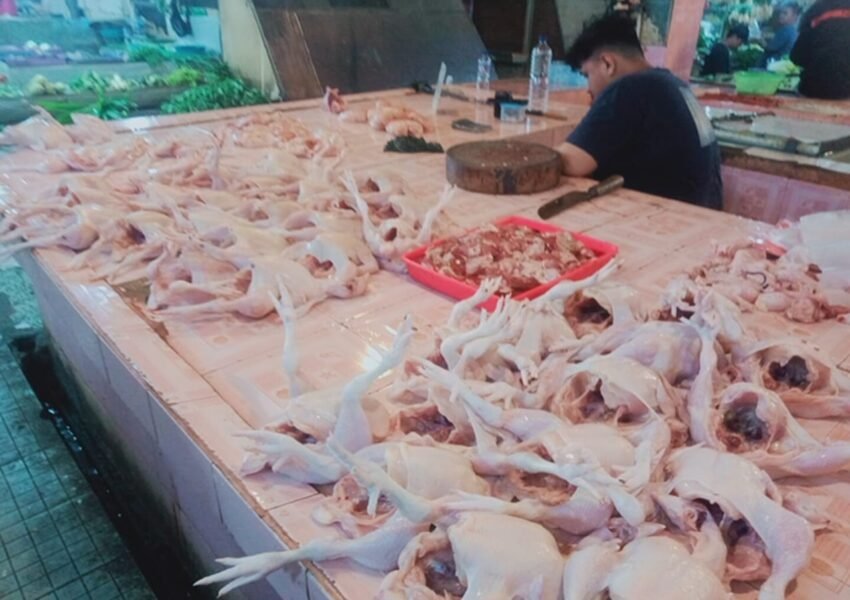 Bangka Belitung Tambah 25 Ton Daging Ayam untuk Redam Lonjakan Harga Akhir Pekan