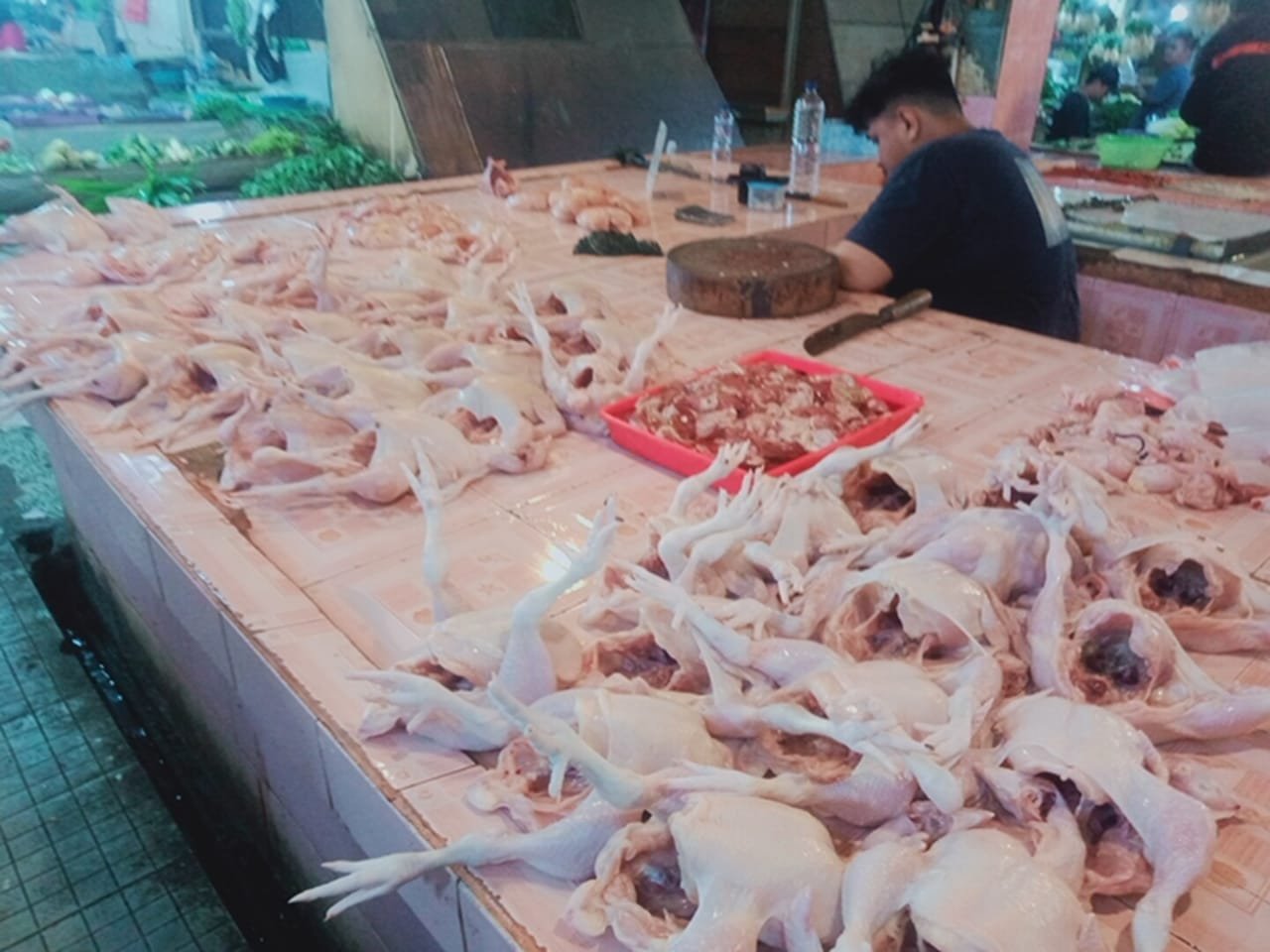Harga Ayam Potong di Bali Naik, Mendag Budi Santoso: Masih Wajar dan Pasokan Aman