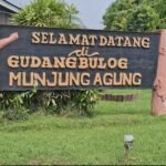 Bulog Tegal Lampaui Target Serapan Gabah dan Beras, Stok Aman hingga 7 Bulan ke Depan