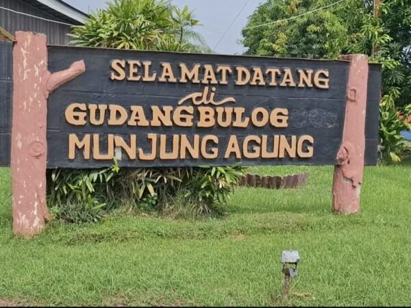 Bulog Tegal Lampaui Target Serapan Gabah dan Beras, Stok Aman hingga 7 Bulan ke Depan
