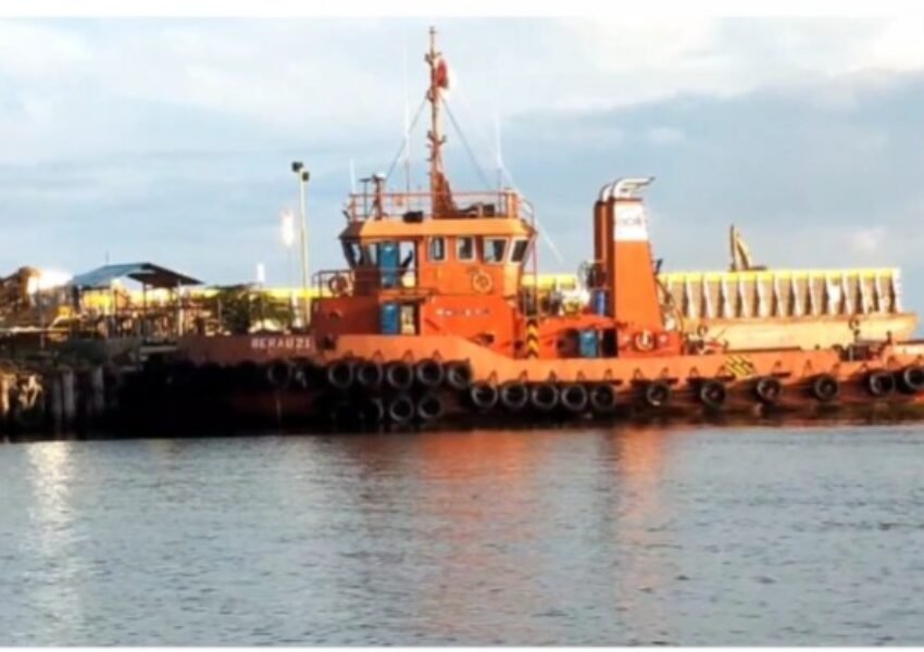 CERI Desak Pemerintah Hentikan Aktivitas PT GKP di Wawonii: Tiga Putusan MA dan Satu MK Sudah Jelas