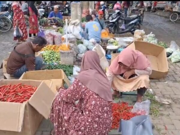 Harga Cabai Rawit di Brebes Tembus Rp120 Ribu/Kg karena Stok Langka di Petani